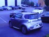 cygnet 004.jpg