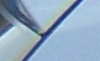 acar.png