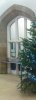 DSC01160.jpg