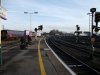 DSCF0564.jpg