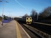 DSCF0578.jpg