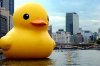 giant rubber duck.jpg