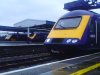 devonrngrbash 031.jpg