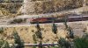 branch.jpg