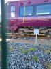 IMG-20201103-WA0002.jpg