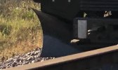 IMG_2047.jpeg