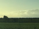 88932CB6-2622-49CE-A235-8D9E1105AF1E.jpeg