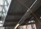 IMG_20201121_162556.jpg