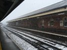 IMG_2183.JPG