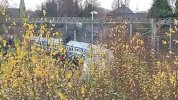 20201212_125055.jpg