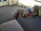 20201220_113413.jpg