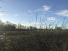 Cottam Pkwy 2.JPG