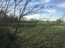 Cottam Pkwy 3.JPG