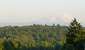 Mt Rainier from Seattle.JPG