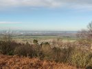 IMG_20210123_111304.jpg