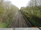 DSC00516 Rushton S.JPG