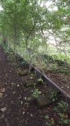 20160722_164622.jpg