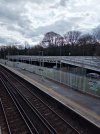 STAT2.jpg