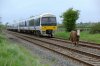 GMP_IMGP4796_165025_Cow_Kingsey.jpg