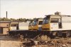 brush 7.jpg