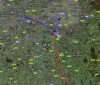 HS2 phase 2 projection (2).jpg