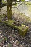 old iron.JPG