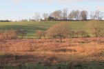MARSH FROM OLD RAILWAY - LOOKING S.jpeg