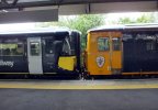 DSCF7979.JPG