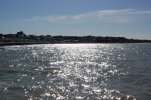 Apr 2021 101.JPG