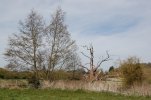 Apr 2021 148.JPG