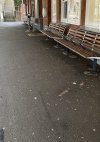 E3202835-AC10-46CC-82CF-41C056E362D1.jpeg