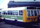 Pacer Bus.jpg
