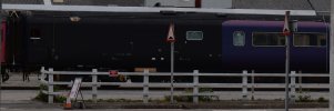DSC_0445c.jpg