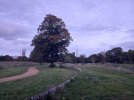 20211014_181557.jpg