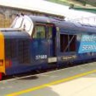 TRAINALEX100