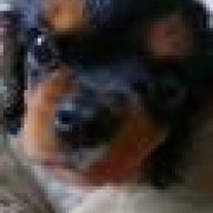 bertie