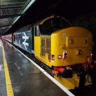 d279