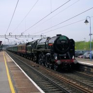 Tiptreebranch