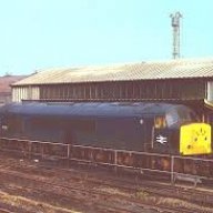 Oscar46016