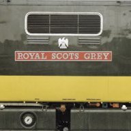 Scots Grey 22