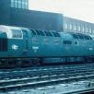 55003