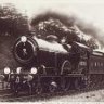 Phoenix - 8783