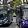 trentbartonfan
