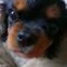 bertie
