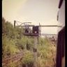 Silv1983