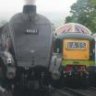 steve 46010