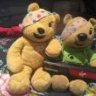 PudseyBearHST