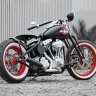 alanyoung165