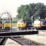 chris50046