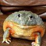 FlyingPotato